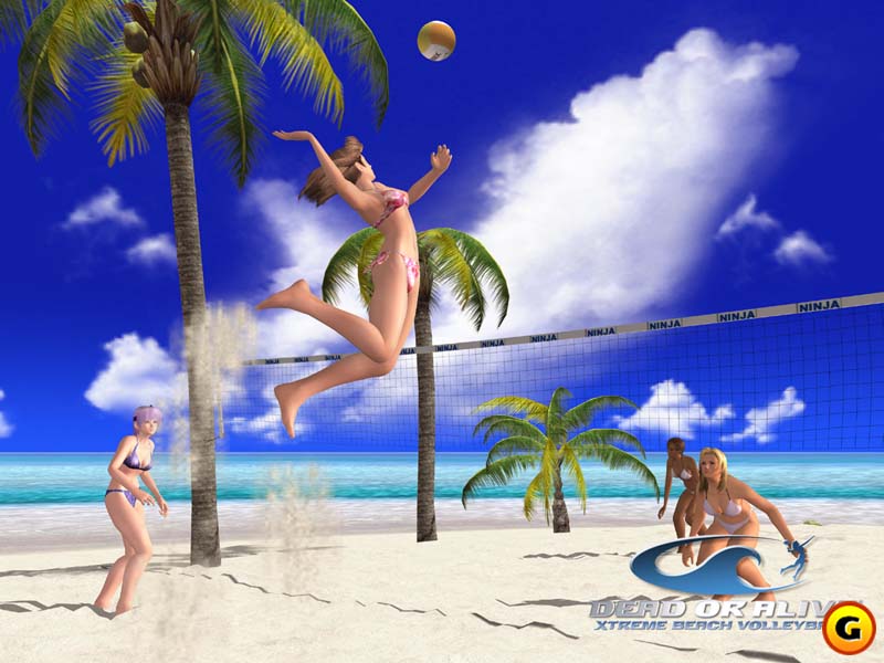 doa3beachvolleyball2.jpg